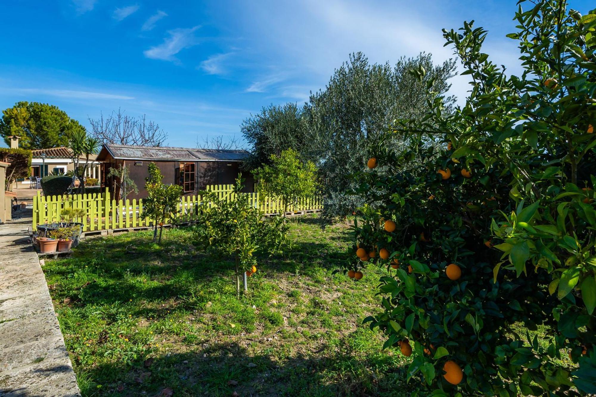 Finca Son Macia Selva  Exterior foto